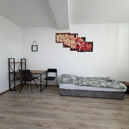Dvojlozkova Izba V Centre Sniny S Vlastnou Kupelnou Apartment Snina