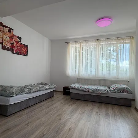 Dvojlozkova Izba V Centre Sniny S Vlastnou Kupelnou דירה *